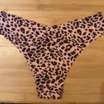 Wilder Leo sucht neuen Halter