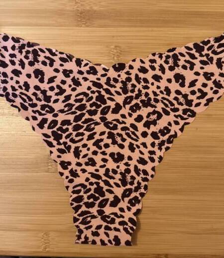 Wilder Leo sucht neuen Halter