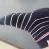 Ringel Socken getragen beim putzen