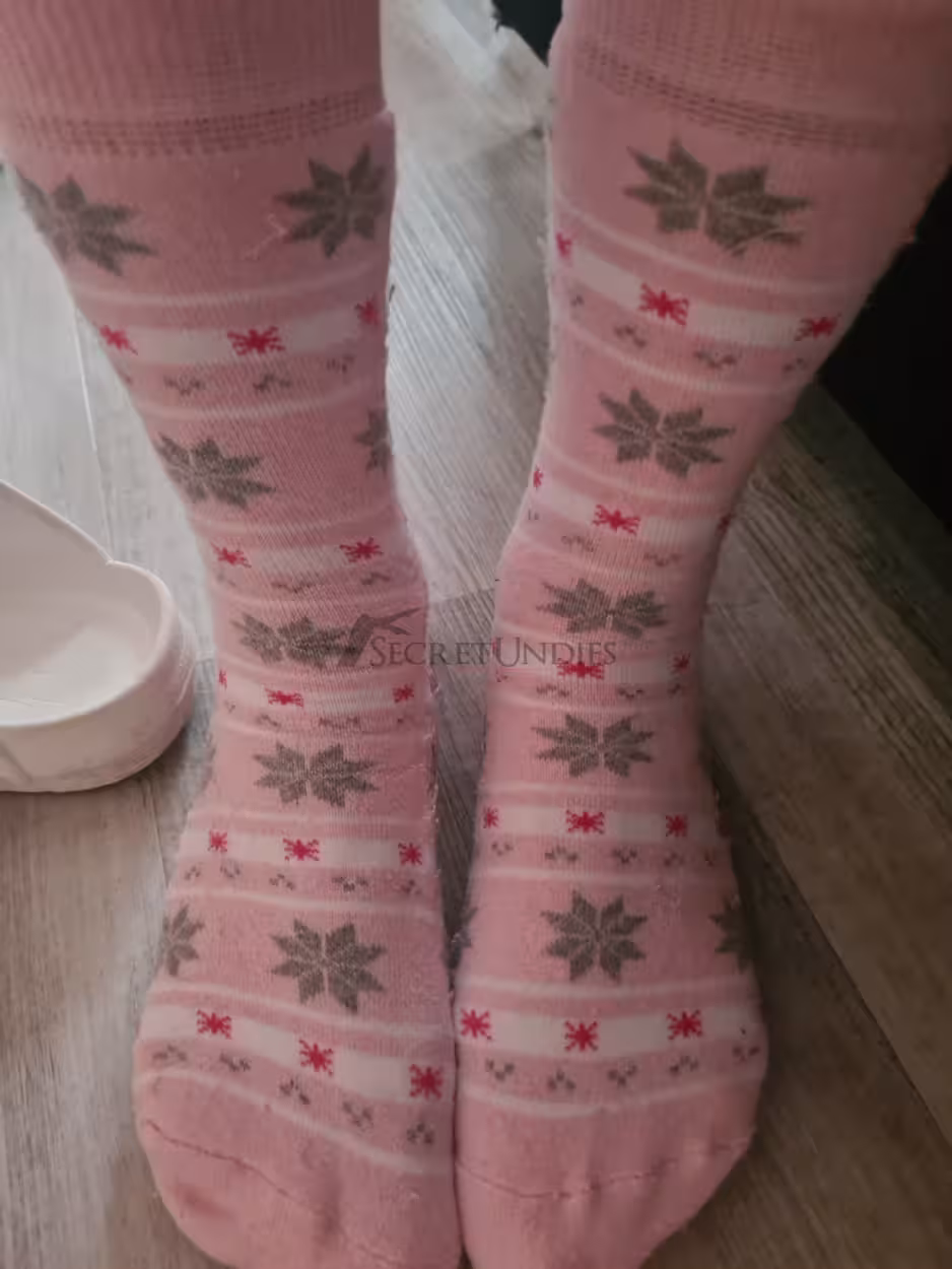 Frisch getragene Socken aus den Arbeitsalltag ,auch vielleicht einbisschen verschwitzt 1 Frisch getragene Socken aus den Arbeitsalltag ,auch vielleicht einbisschen verschwitzt – Bild 2