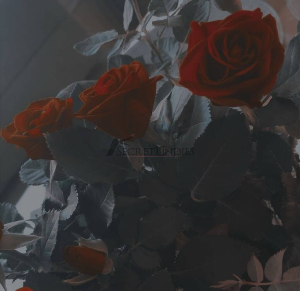 Hauptbild von Haunted