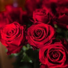 Profilbild von Schnuppi203