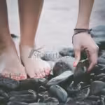 Sockendream