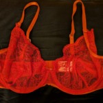Roter eleganter BH