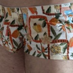 Coole Boxershorts im Sommervibe