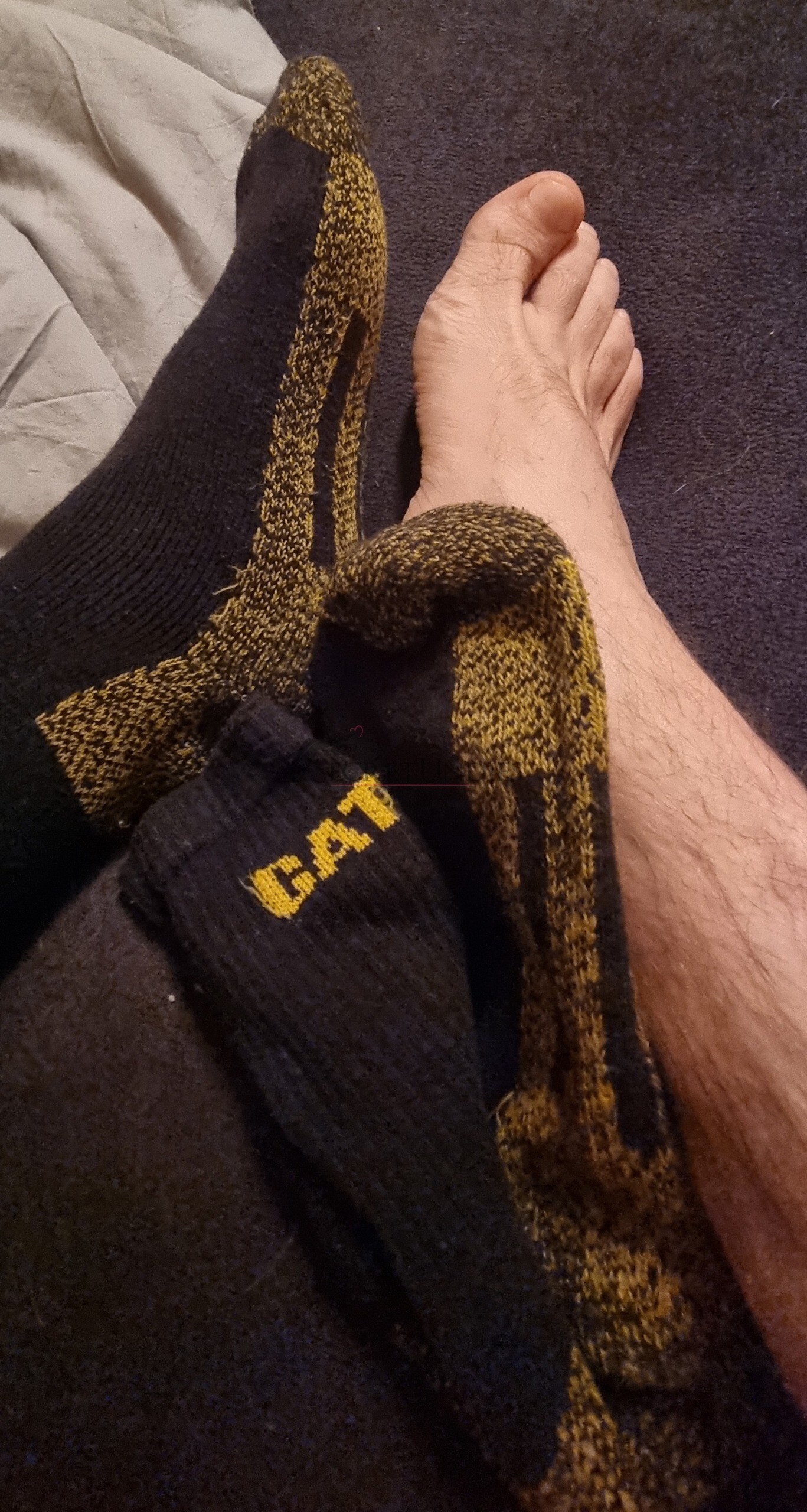 Pfingstangebot🧦 CAT 🧦 Socken in Kampfstifel getragen 2 Pfingstangebot🧦 CAT 🧦 Socken in Kampfstifel getragen – Bild 2