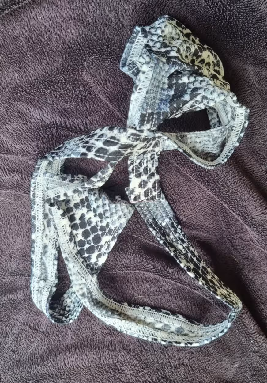 Rüssel Beutel String – Bild 5