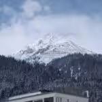 Swisswoman