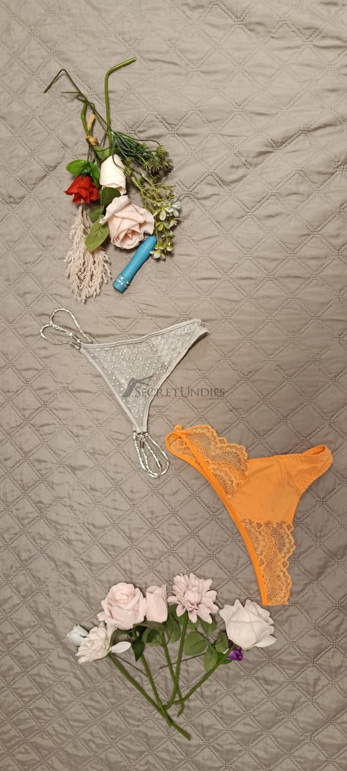 Hauptfreundliche und erotische Slips 4 Hauptfreundliche und erotische Slips – Bild 4