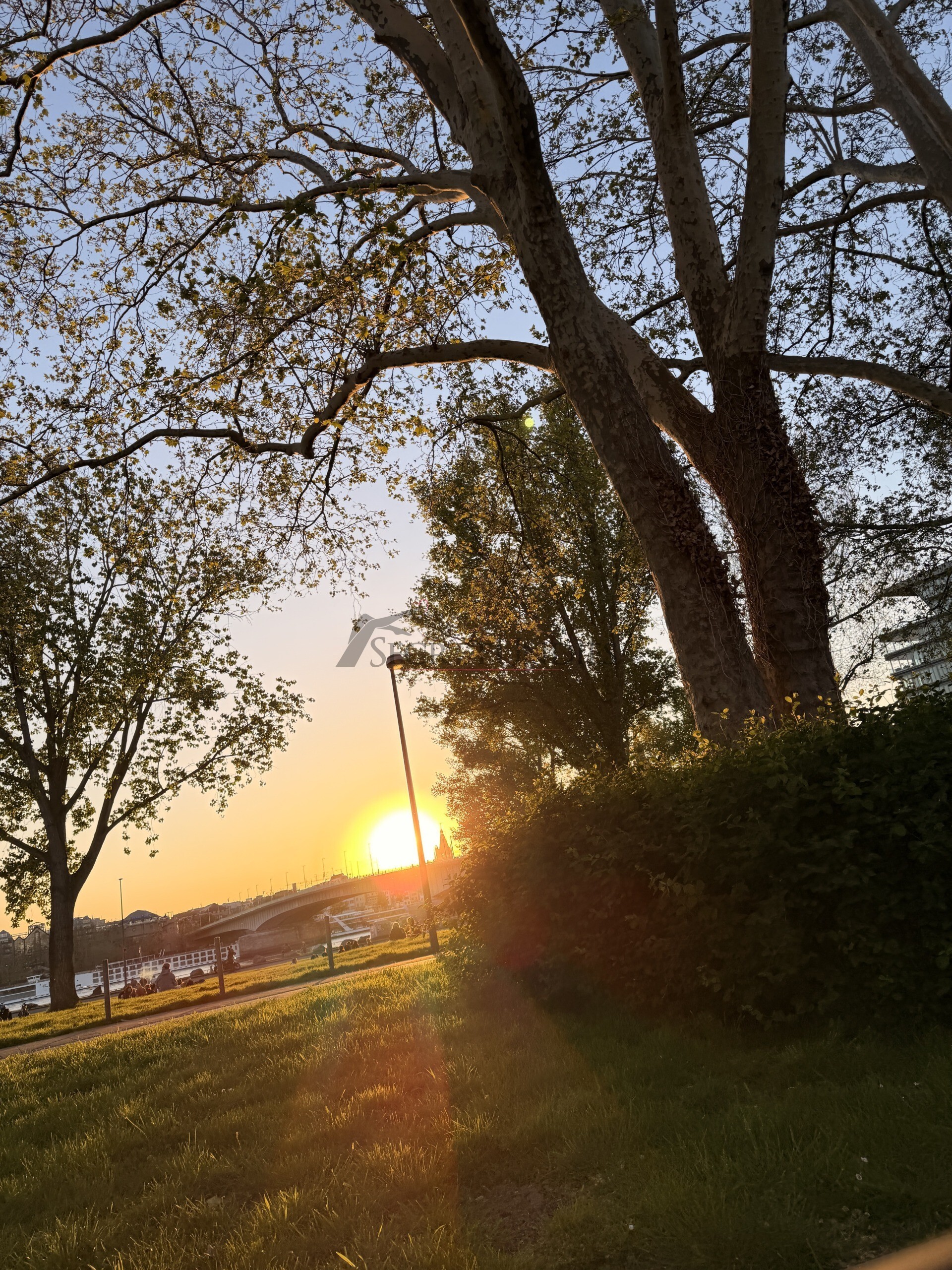 Profilbild von SunnyXshades
