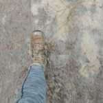 Profilbild von SaraTrails