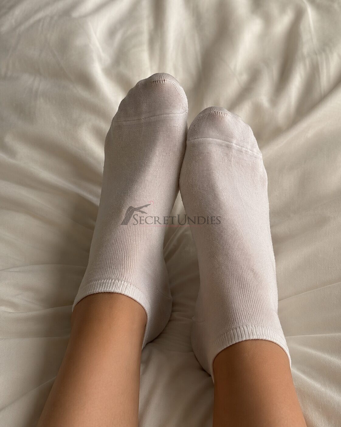 VelvetEcho