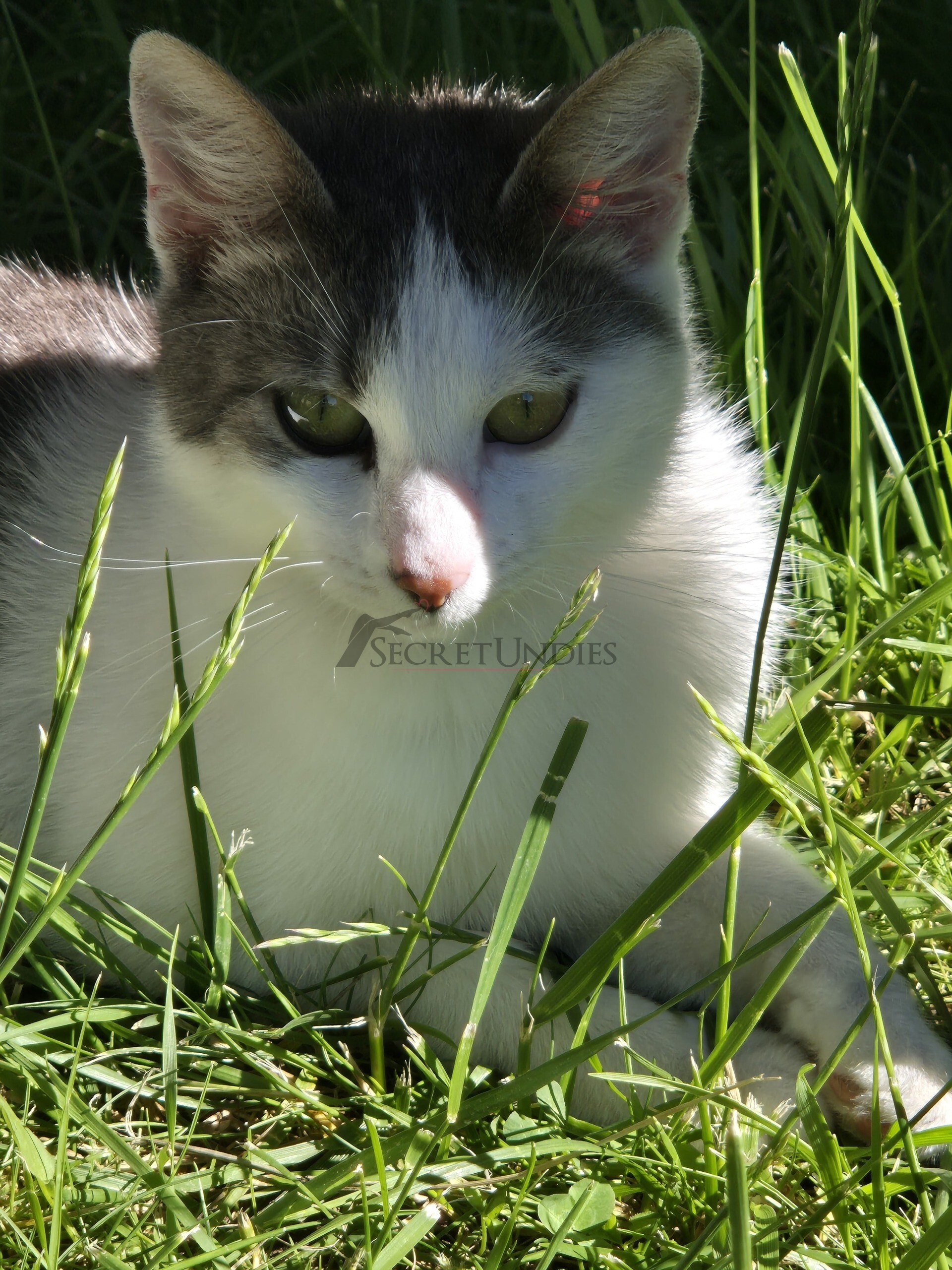 Profilbild von NiA