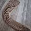 Strumpfhose extra eng