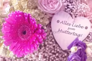 schmetterling20