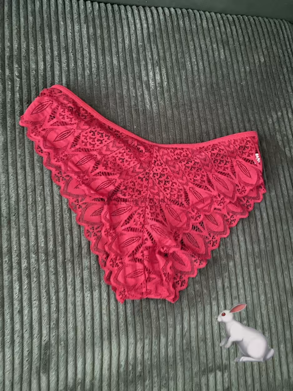 Rotes Spitzenhöschen – Bild 3