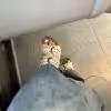 Getragen Socken