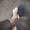 White Classics - Sneaker Socken 48h getragen