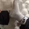 Sportsocken, meine Begleiter beim Training