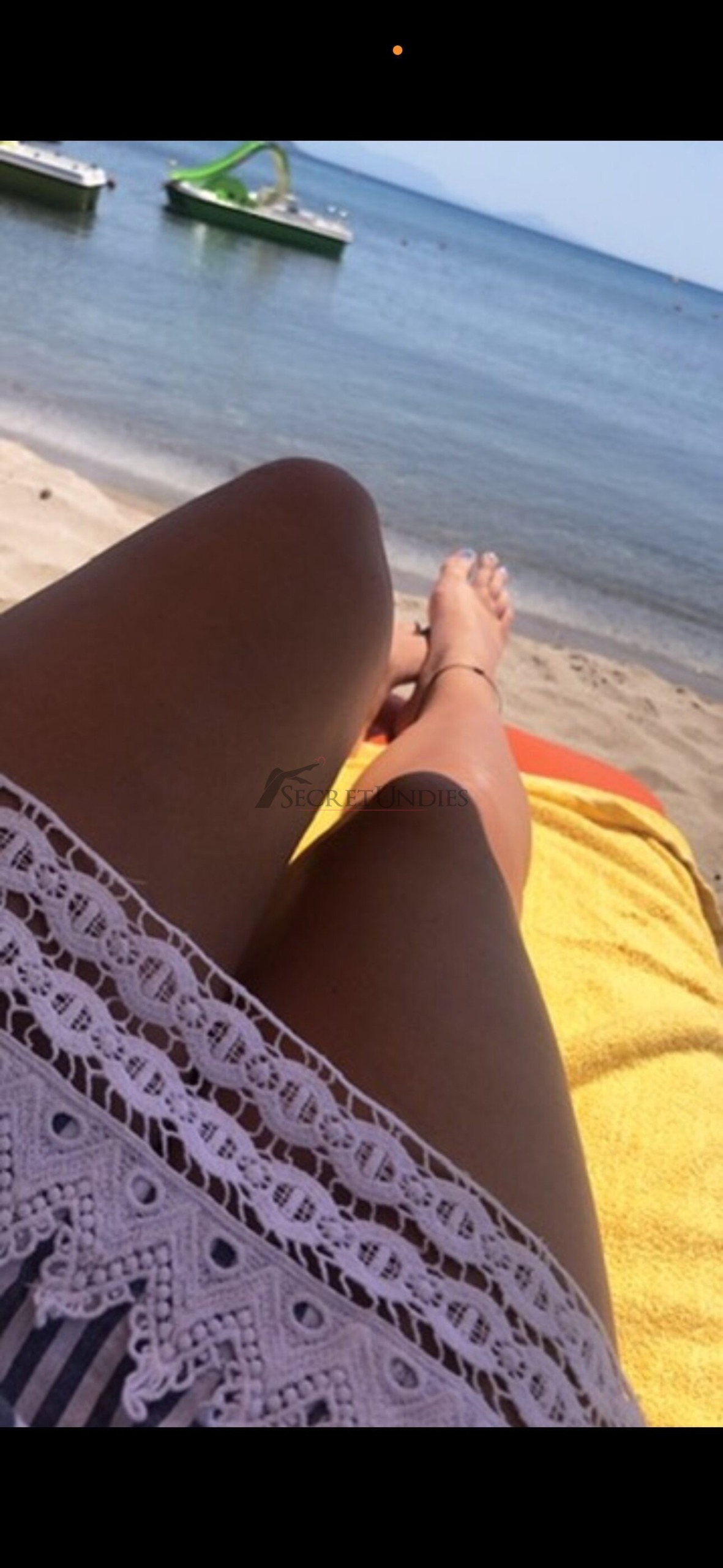 Profilbild von GoldenMuse.x