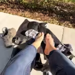 Luna_Rose