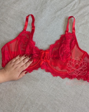 Rote Versuchung - Transparenter roter Spitzen-BH (95G) - 2 Tage getragen