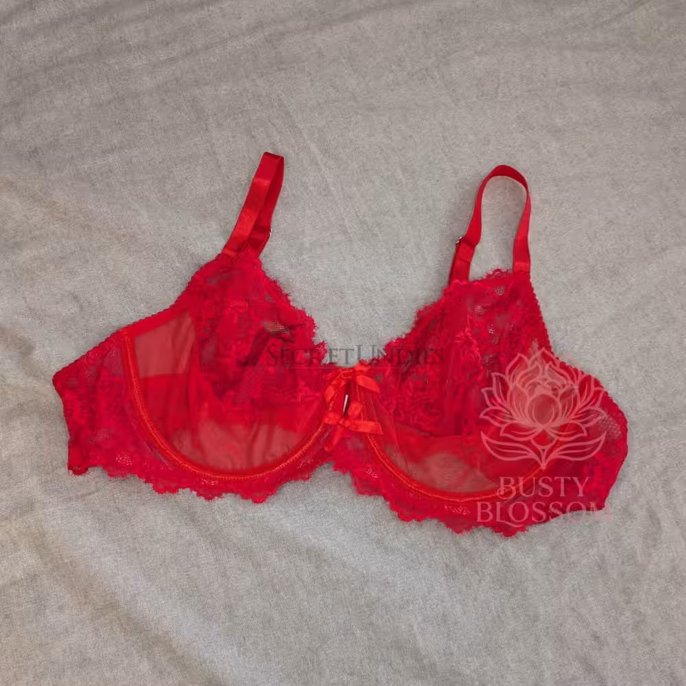 Rote Versuchung - Transparenter roter Spitzen-BH (95G) - 2 Tage getragen – Bild 2