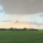 Galeriebild 1
