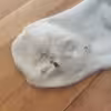 Stark getragene weiße Socken nach Wanderung