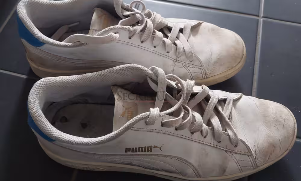 Sneaker