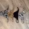 Leo String Tanga getragen auf Wunsch mehr