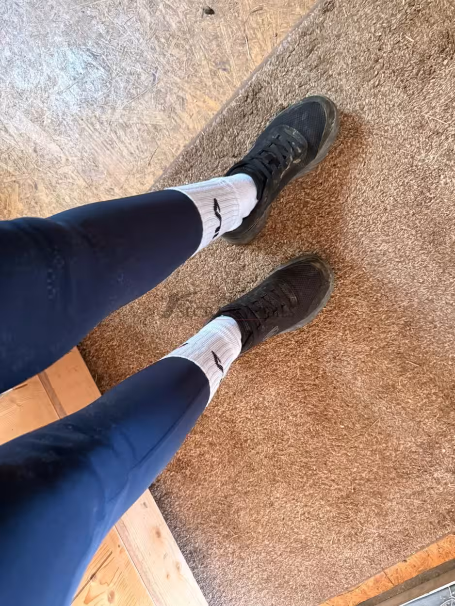 Frisch vom Pferd: Larissas intensiv getragene Reitsocken frisch vom Pferd! 3 Frisch vom Pferd: Larissas intensiv getragene Reitsocken frisch vom Pferd! – Bild 3