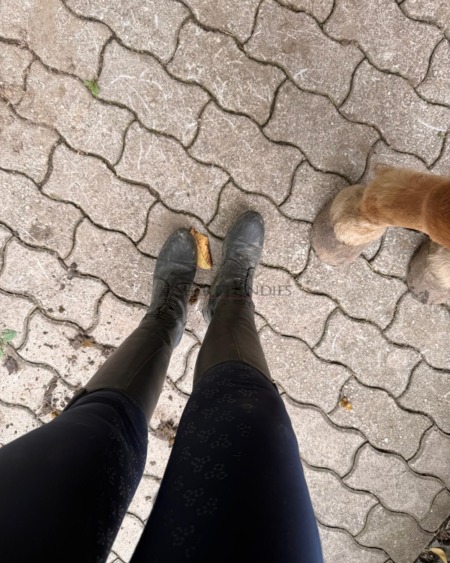 Frisch vom Pferd: Larissas intensiv getragene Reitsocken frisch vom Pferd!