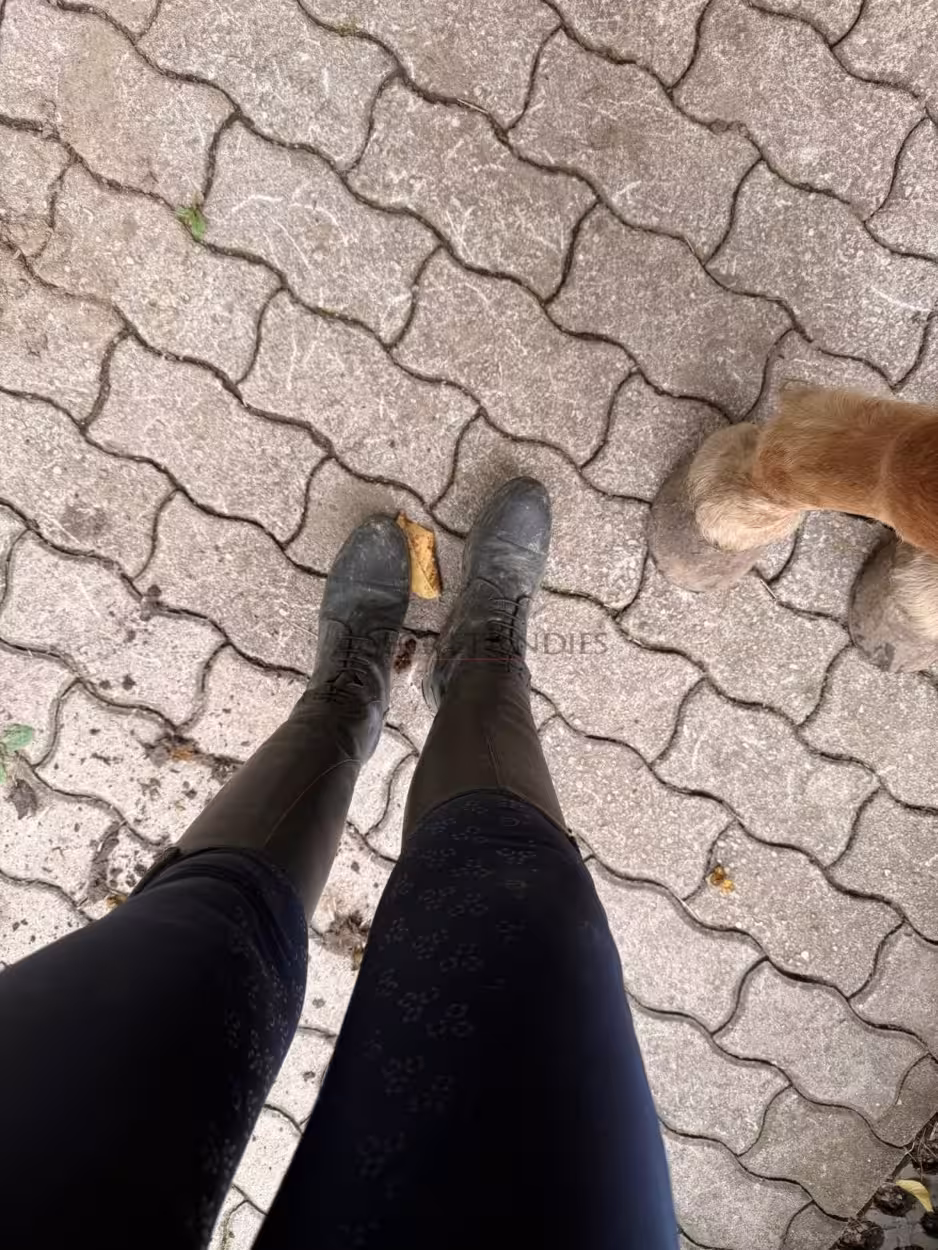 Frisch vom Pferd: Larissas intensiv getragene Reitsocken frisch vom Pferd! 1 Frisch vom Pferd: Larissas intensiv getragene Reitsocken frisch vom Pferd!